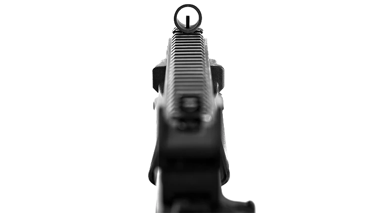 SSR63 A1 – Airsoft AEG image